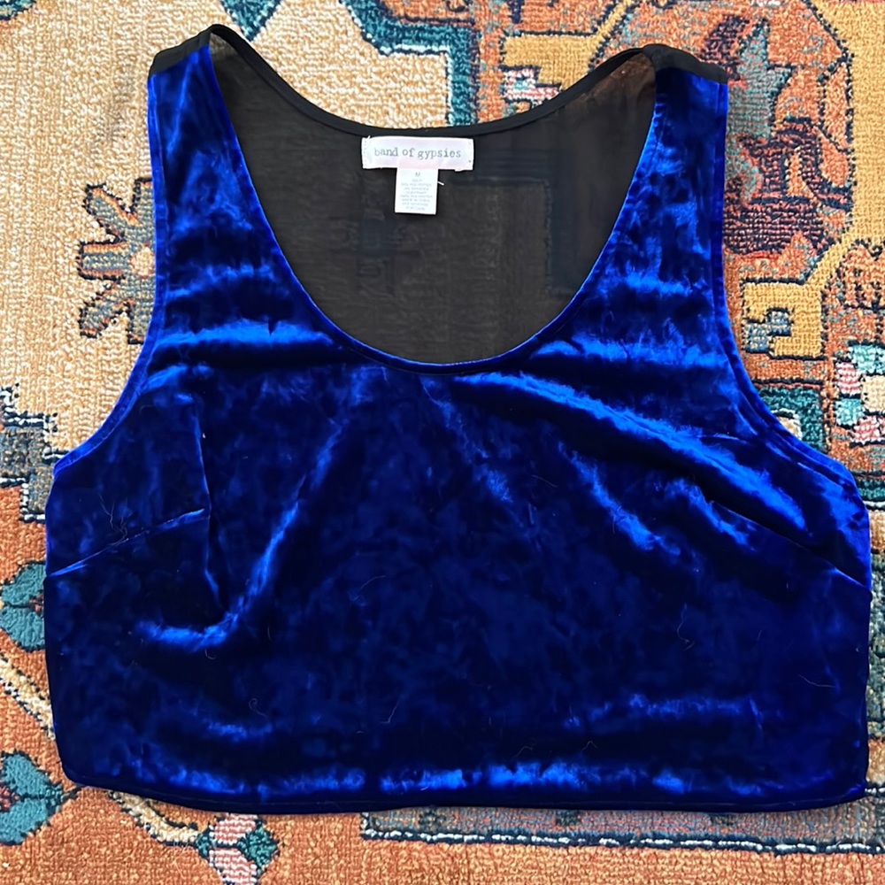 Urban Outfitters velvet blue crop top tank top
